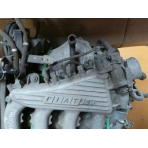 Palio/Strada 1.6 16V