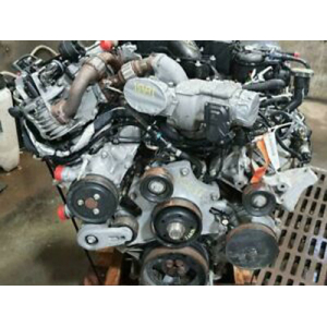 V8 F250 Indiv Coils / L3